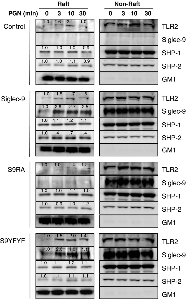 Fig. 4