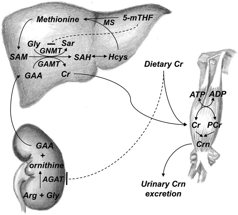 FIGURE 1