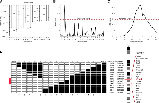 FIGURE 3