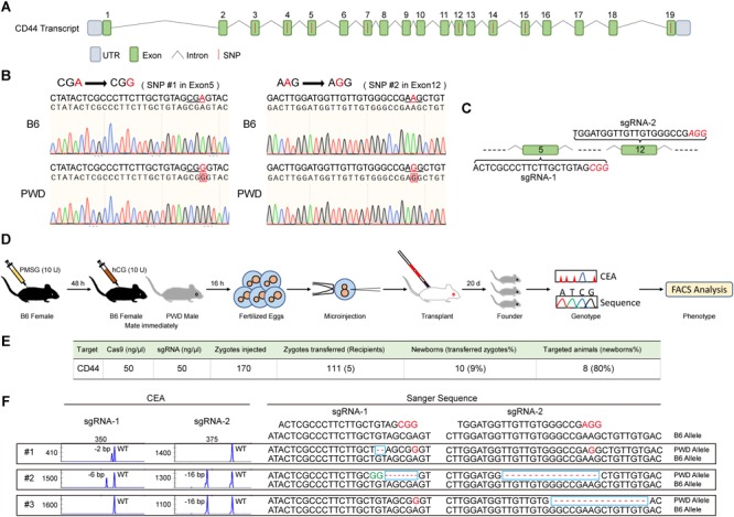 FIGURE 4