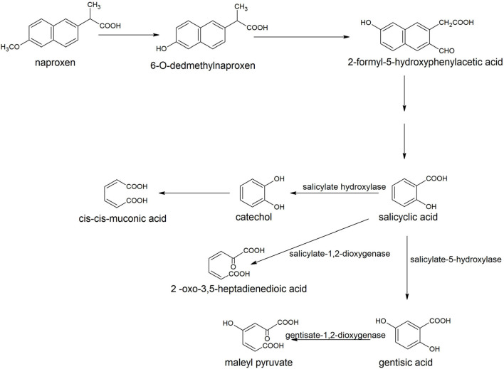 Figure 9