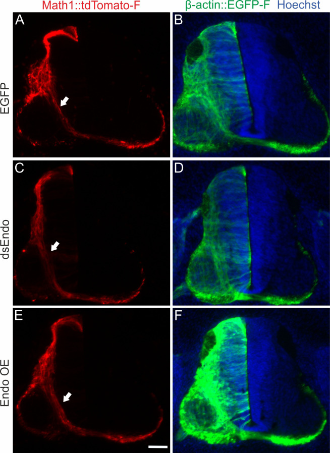 Figure 13.