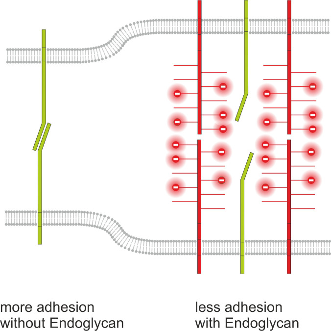 Figure 14.