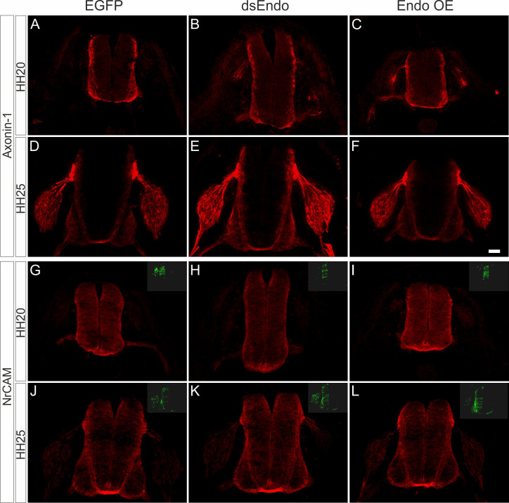 Figure 3—figure supplement 3.