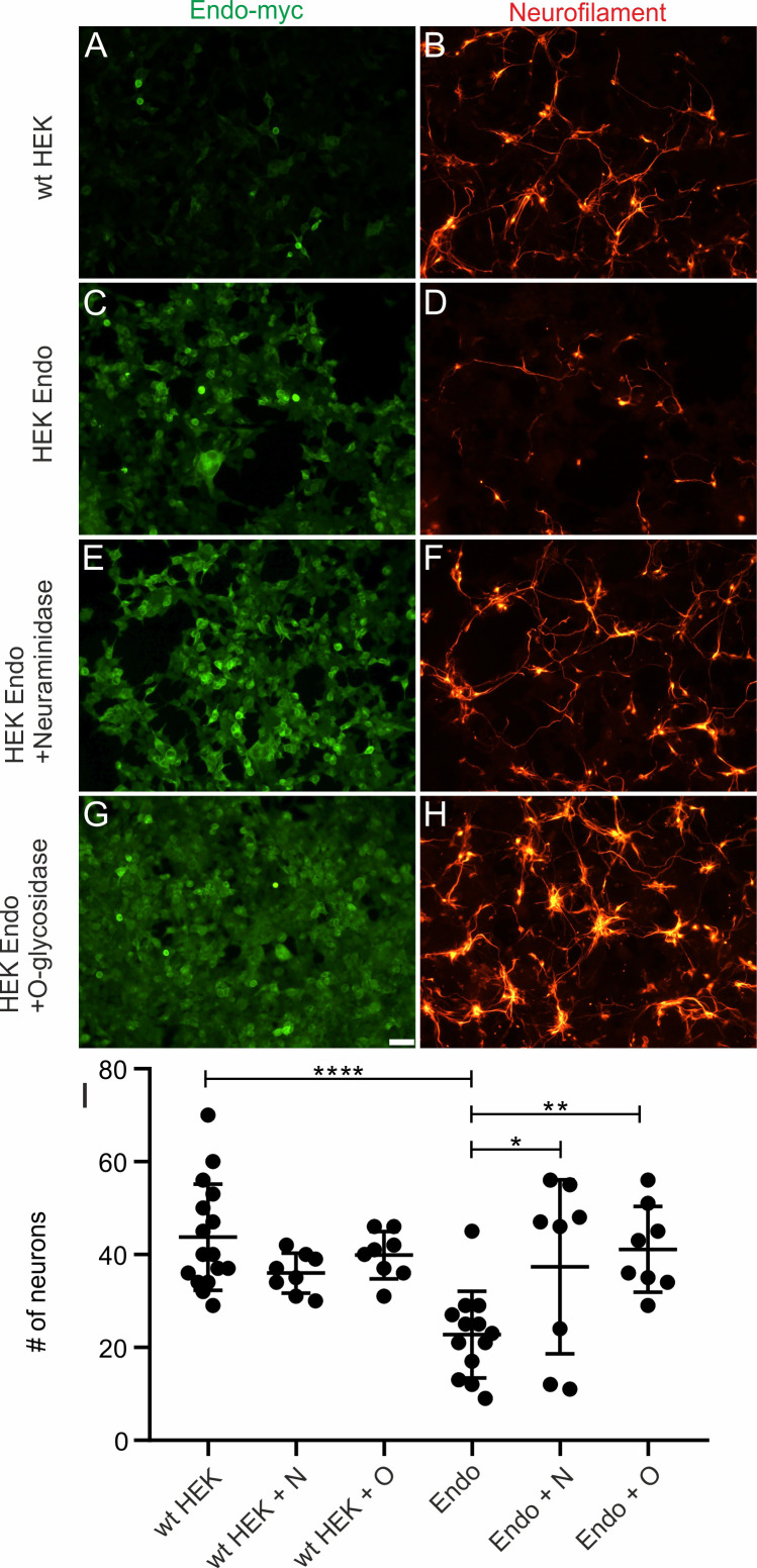 Figure 5—figure supplement 2.