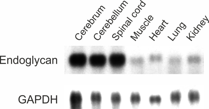 Figure 2—figure supplement 1.