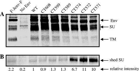 FIG. 8.