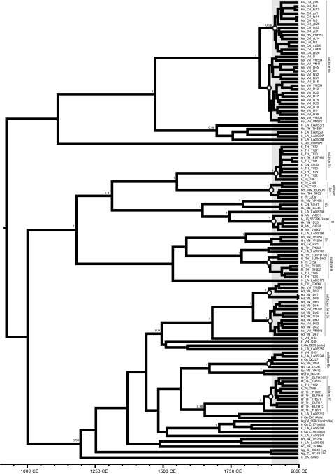 FIG. 5.