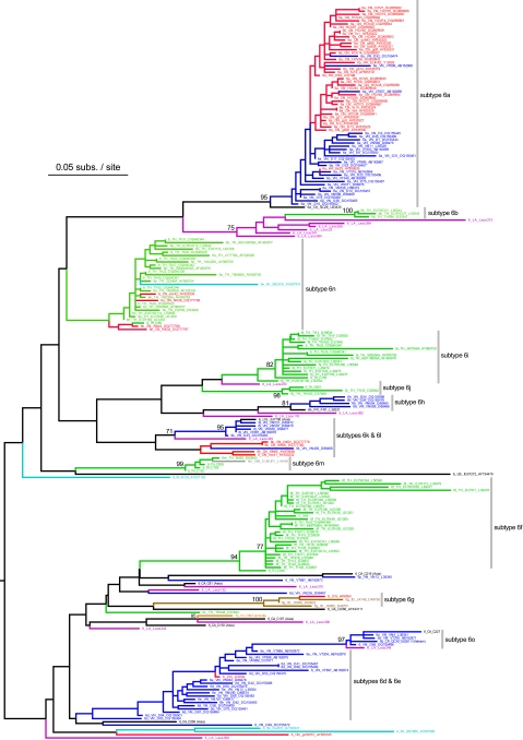 FIG. 2.