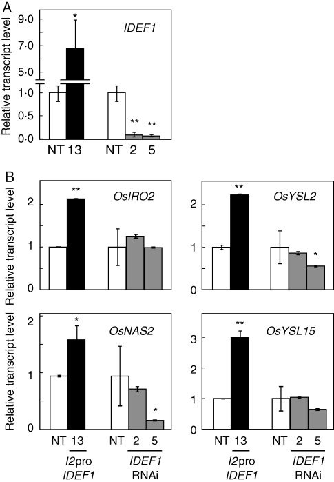 Fig. 4.