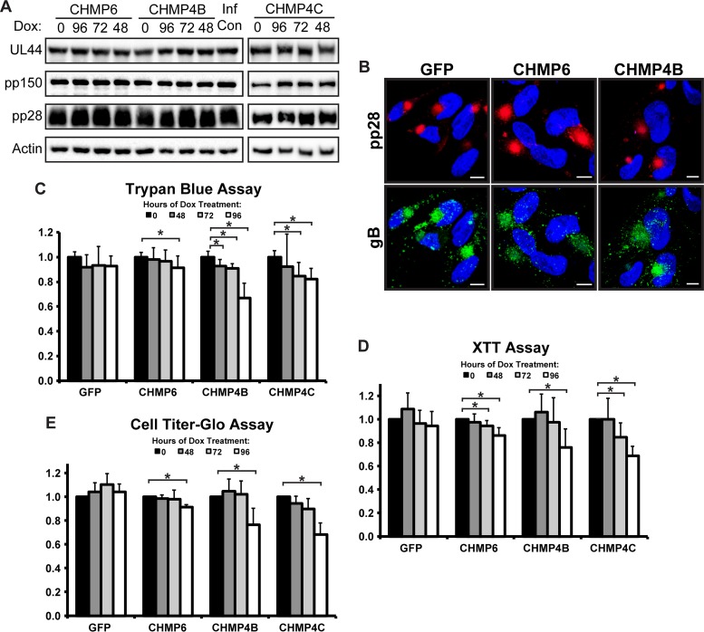 FIG 3