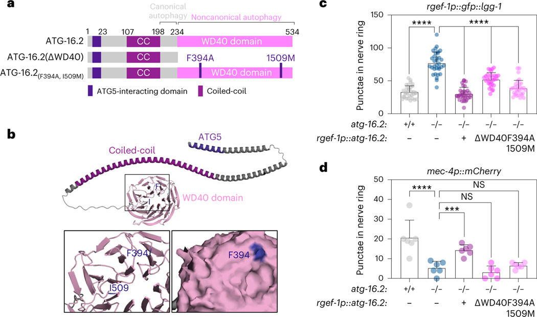 Fig. 6 |