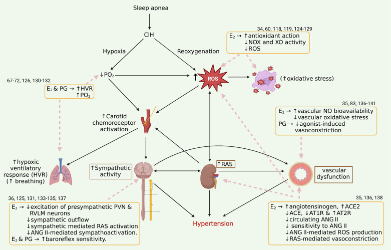 Figure 2.