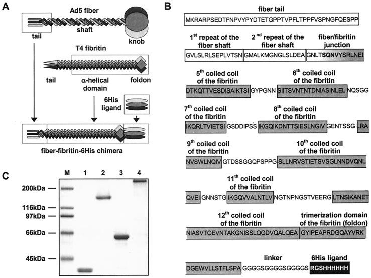 FIG. 1