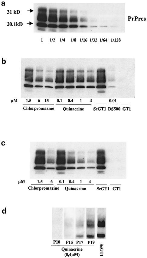 FIG. 6.