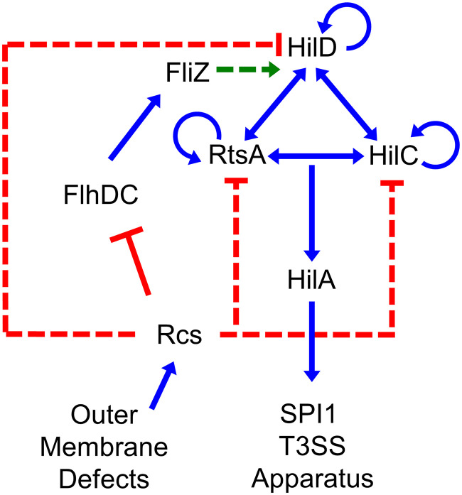 FIG 1