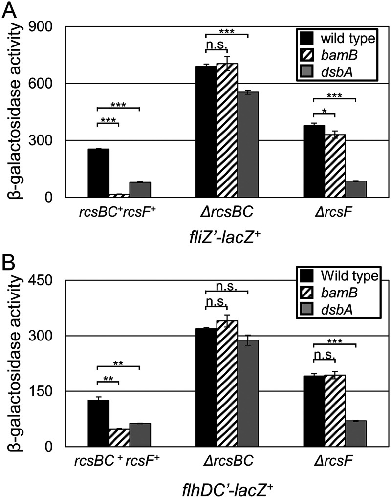 FIG 6