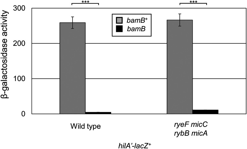 FIG 2