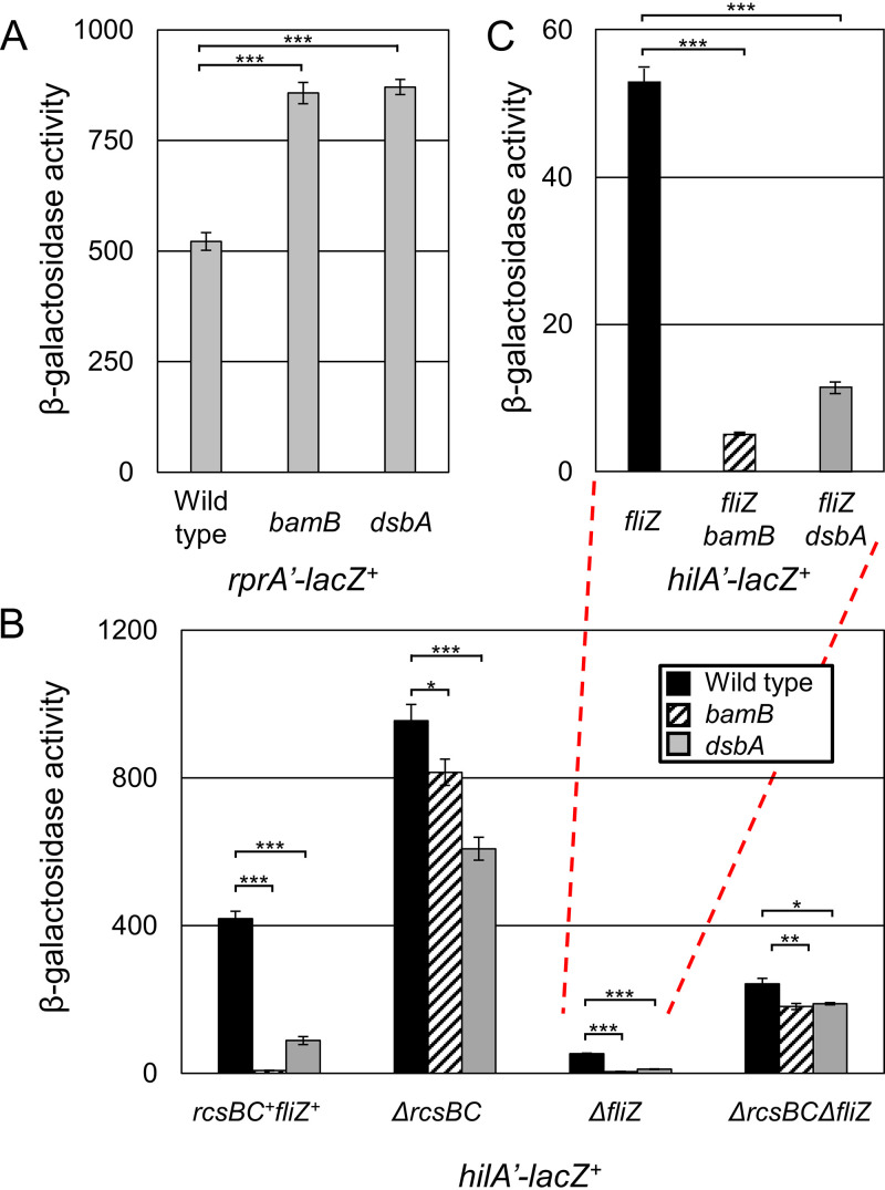 FIG 3