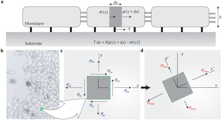 FIG. 11.