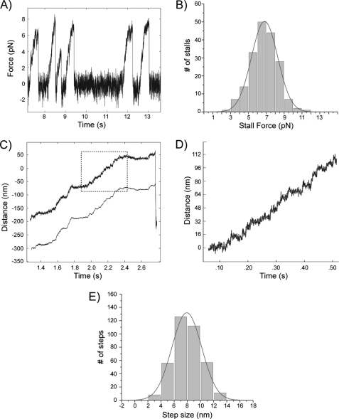 FIGURE 3.