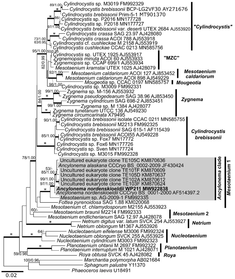 Figure 2