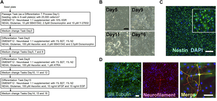 FIGURE 6