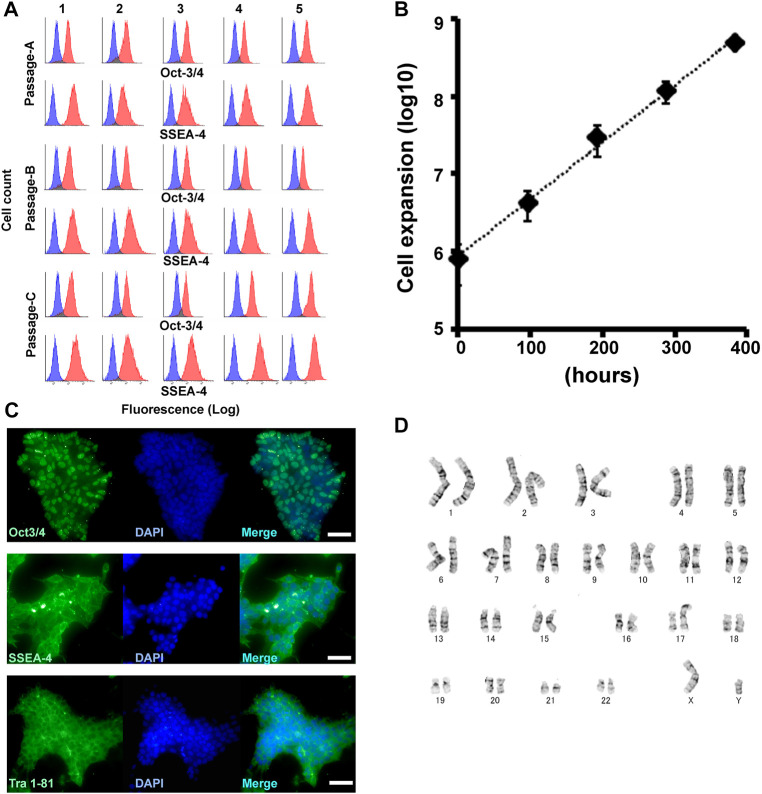 FIGURE 3