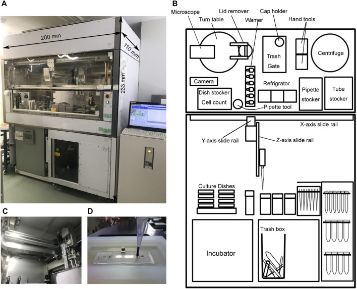 FIGURE 1