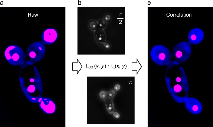 Fig. 4