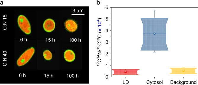 Fig. 3