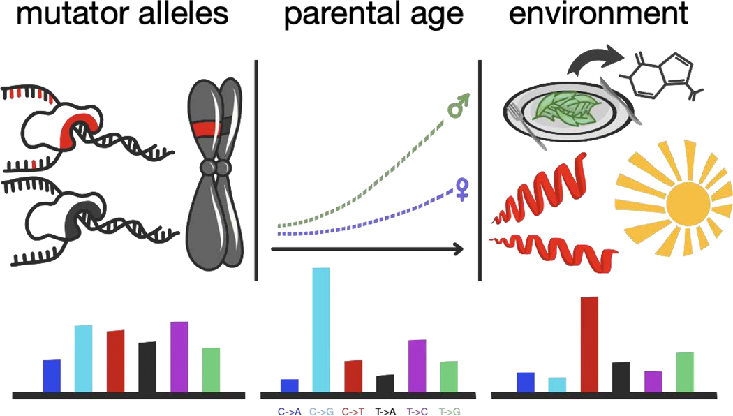 Figure 1: