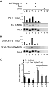 FIG. 6.