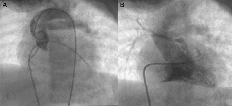 Figure 4: