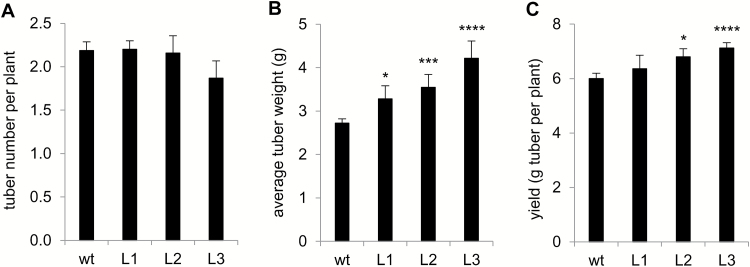 Fig. 9.