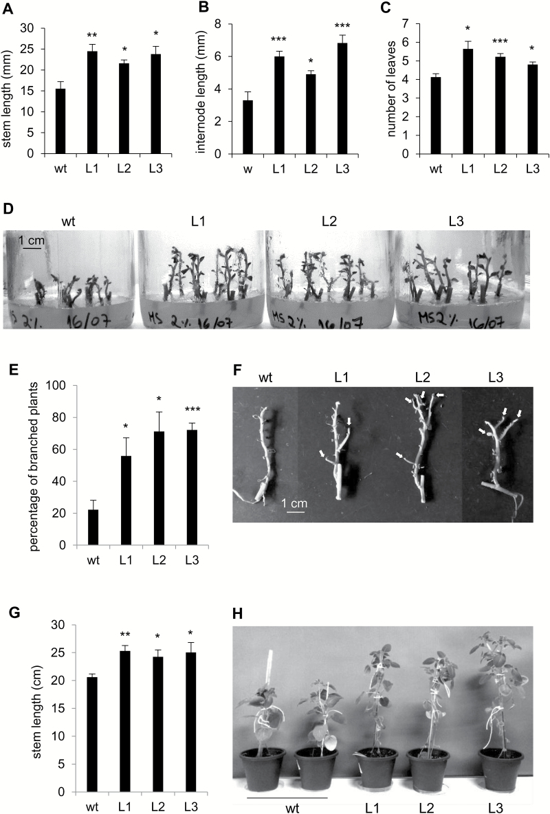 Fig. 11.