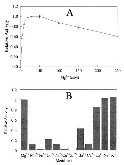 FIG. 6