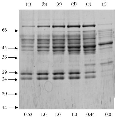 FIG. 3