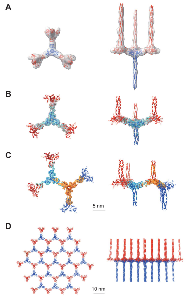 Figure 2.