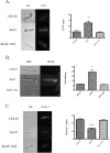 FIG 4