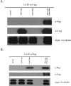 FIG 6