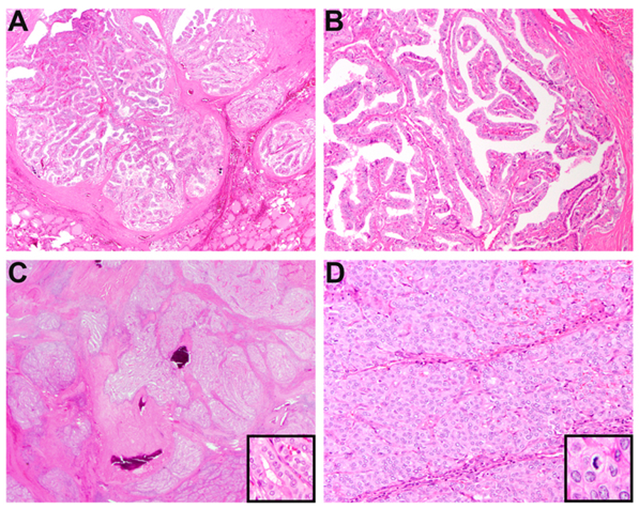 Figure 3: