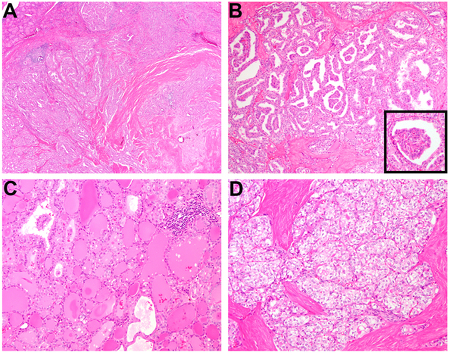 Figure 5: