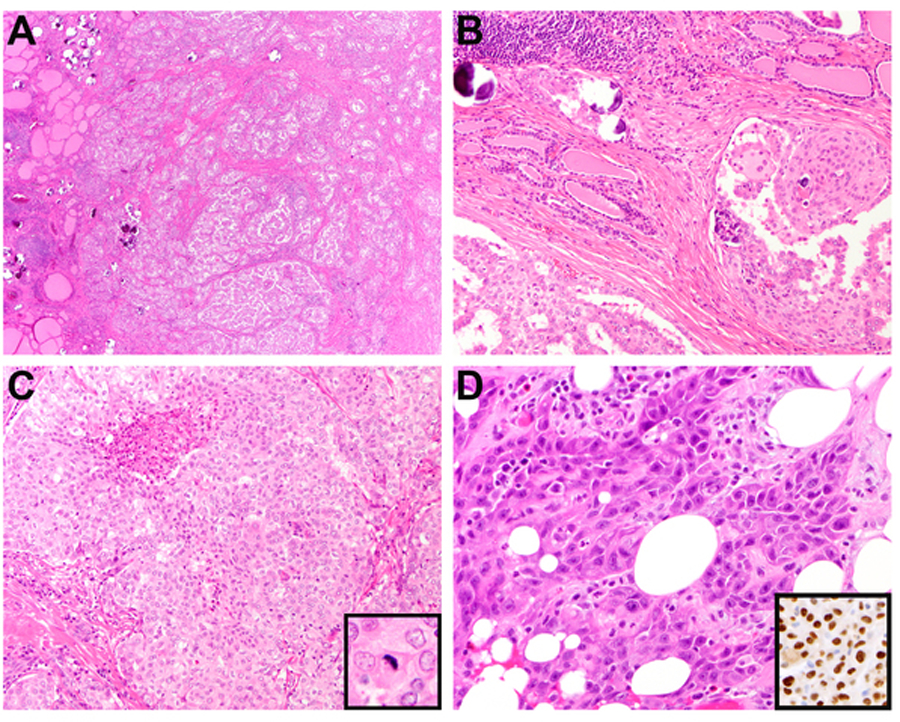 Figure 6: