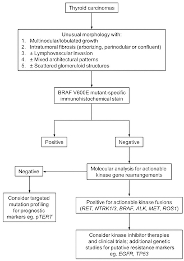 Figure 7: