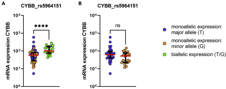 Figure 10