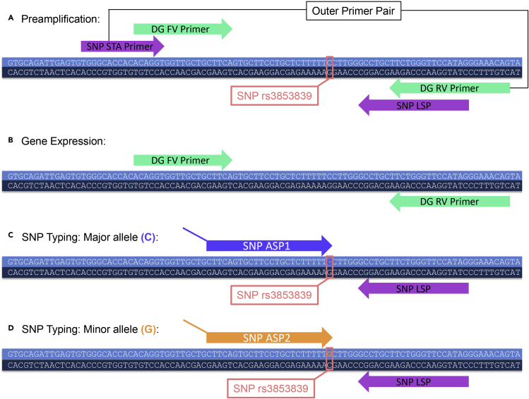 Figure 1