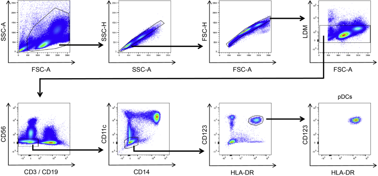 Figure 2