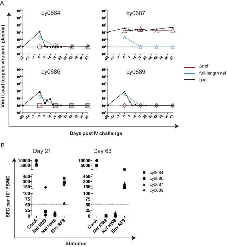 FIG 3