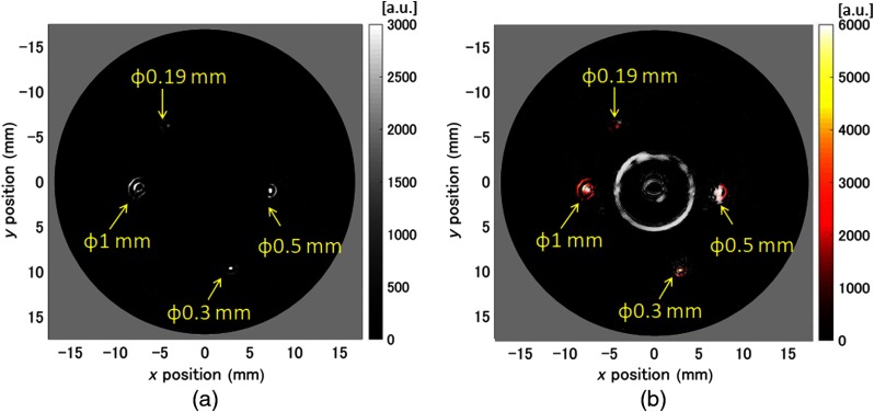 Fig. 12